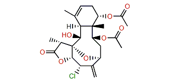 Excavatolide A